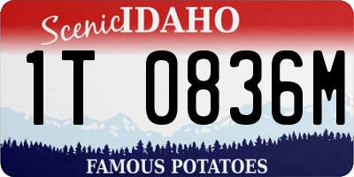 ID license plate 1T0836M