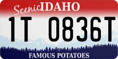 ID license plate 1T0836T