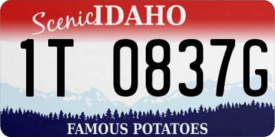 ID license plate 1T0837G