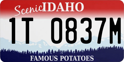 ID license plate 1T0837M