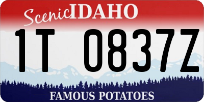 ID license plate 1T0837Z