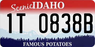 ID license plate 1T0838B