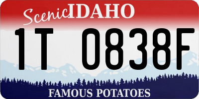 ID license plate 1T0838F