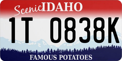 ID license plate 1T0838K