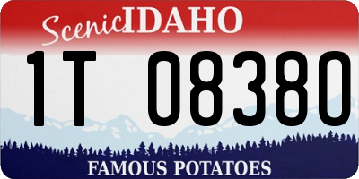 ID license plate 1T0838O