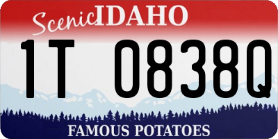 ID license plate 1T0838Q