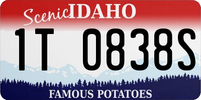ID license plate 1T0838S
