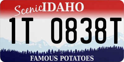 ID license plate 1T0838T