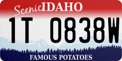 ID license plate 1T0838W