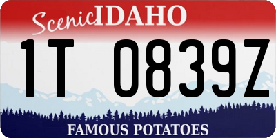 ID license plate 1T0839Z