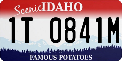 ID license plate 1T0841M