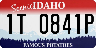 ID license plate 1T0841P