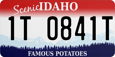 ID license plate 1T0841T