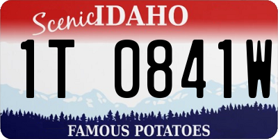 ID license plate 1T0841W