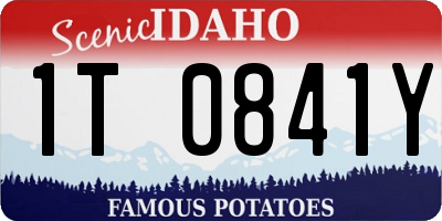 ID license plate 1T0841Y