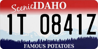 ID license plate 1T0841Z