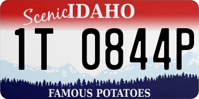 ID license plate 1T0844P