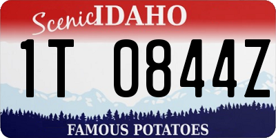 ID license plate 1T0844Z