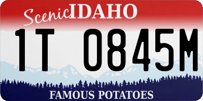 ID license plate 1T0845M