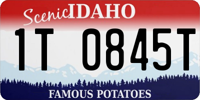 ID license plate 1T0845T