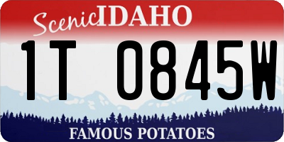 ID license plate 1T0845W