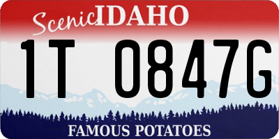 ID license plate 1T0847G
