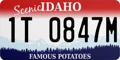 ID license plate 1T0847M