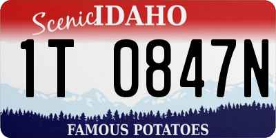 ID license plate 1T0847N