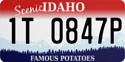 ID license plate 1T0847P