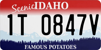 ID license plate 1T0847V