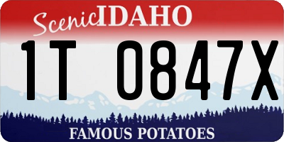 ID license plate 1T0847X