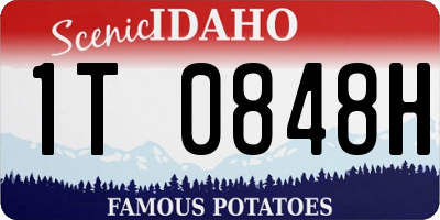 ID license plate 1T0848H
