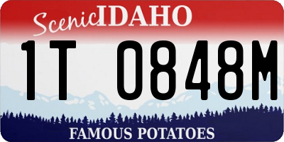 ID license plate 1T0848M