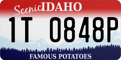 ID license plate 1T0848P