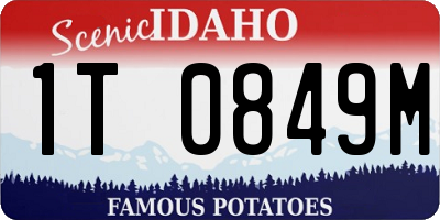 ID license plate 1T0849M