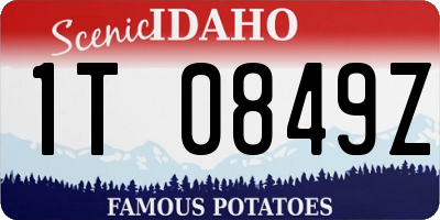 ID license plate 1T0849Z