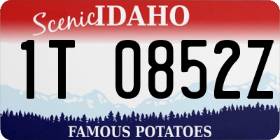 ID license plate 1T0852Z