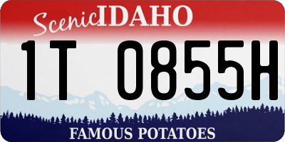 ID license plate 1T0855H