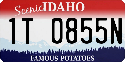 ID license plate 1T0855N