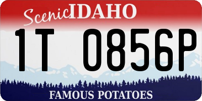 ID license plate 1T0856P