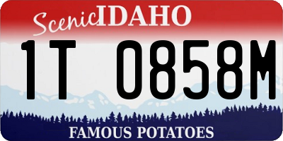 ID license plate 1T0858M