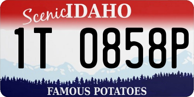 ID license plate 1T0858P
