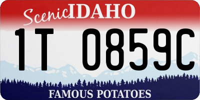 ID license plate 1T0859C