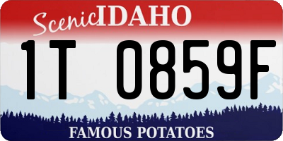 ID license plate 1T0859F