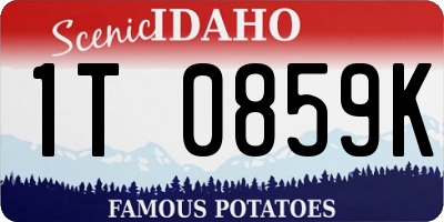ID license plate 1T0859K