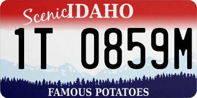ID license plate 1T0859M