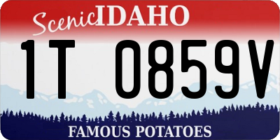 ID license plate 1T0859V