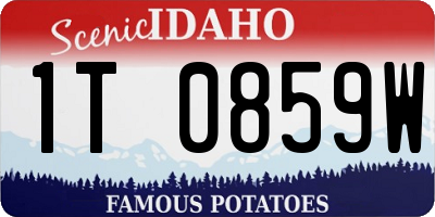 ID license plate 1T0859W
