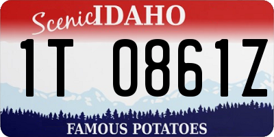ID license plate 1T0861Z