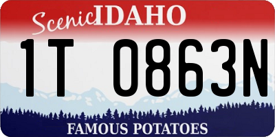 ID license plate 1T0863N